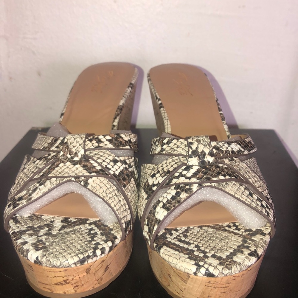 sold $15.  Thalia platforms